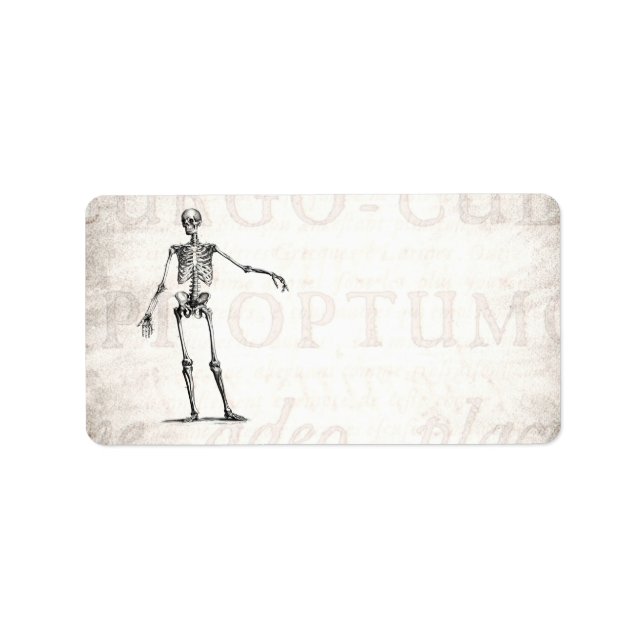 Vintage 1800s Skeleton Retro Skeletons Anatomy Label (Front)