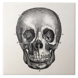 Vintage 1800s Skull Retro Skulls Skeleton Tile
