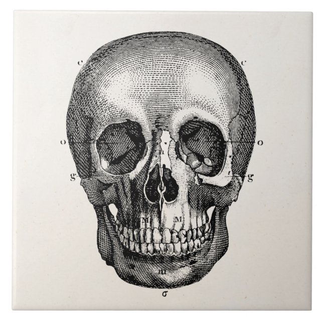 Vintage 1800s Skull Retro Skulls Skeleton Tile (Front)