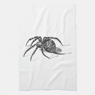 Vintage 1800s Spider Illustration Spiders Template Kitchen Towel