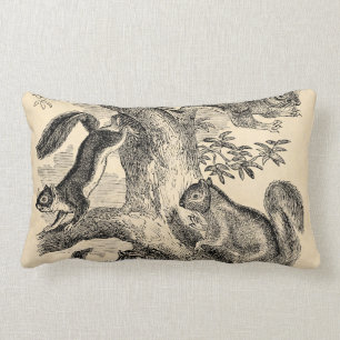 Vintage 1800s Squirrels Illustration - Squirrel Lumbar Pillow