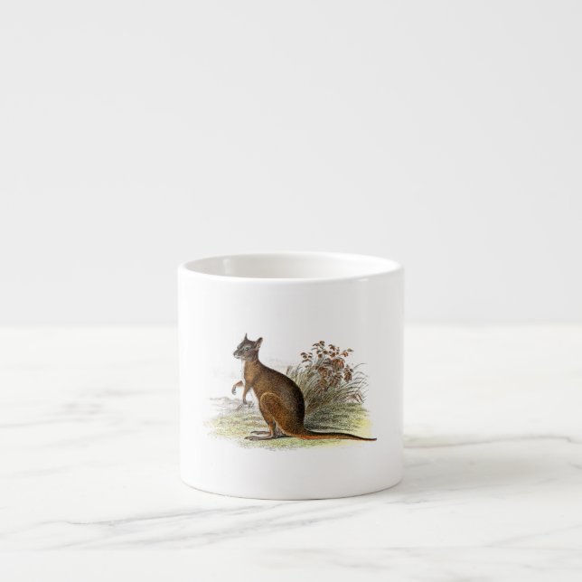 Vintage 1800s Wallaby Illustration Kangaroo Espresso Cup (Front)