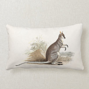 Vintage 1800s Wallaby Kangaroo Antique Wallabies Lumbar Pillow