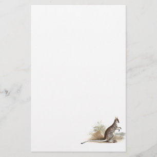 Vintage 1800s Wallaby Kangaroo Old Wallabies Stationery
