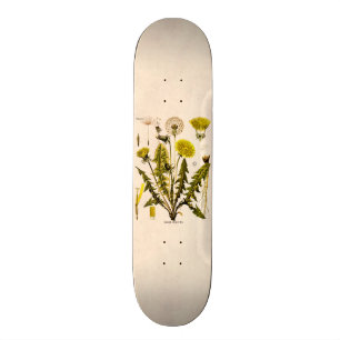 Vintage 1800s Yellow Dandelion Gone to Seed Floral Skateboard