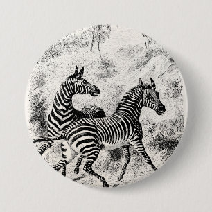 Vintage 1800s Zebras Retro Old Zebras Illustration 3 Inch Round Button