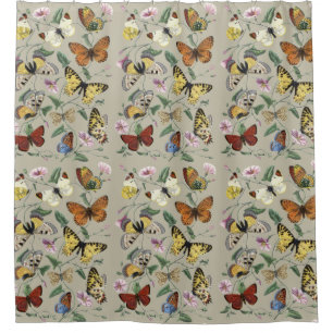 Vintage 1842 Butterfly Moth Botanical Floral Art