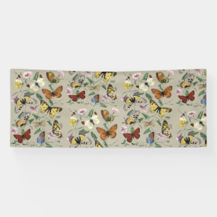 Vintage 1842 Butterfly Moth Botanical Floral Art Banner