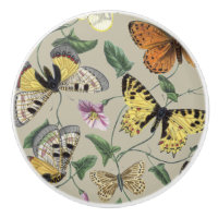 Vintage 1842 Butterfly Moth Botanical Floral Art