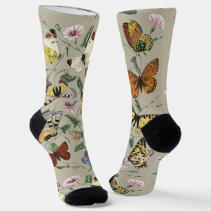 Vintage 1842 Butterfly Moth Botanical Floral Art Socks