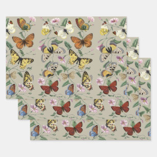 Vintage 1842 Butterfly Moth Botanical Floral Art Wrapping Paper Sheet