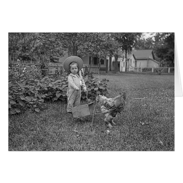 Vintage 1880's Rooster Girl Garden Photo (Front Horizontal)