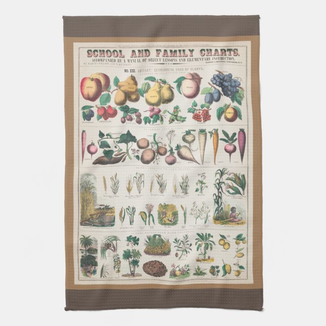 Vintage 1890 School Botanical Education Chart Kitchen Towel (Vertical)