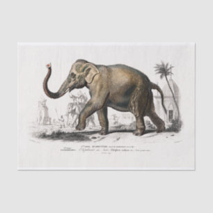 Vintage 1892 Asiatic Elephant Print Decoupage Tissue Paper