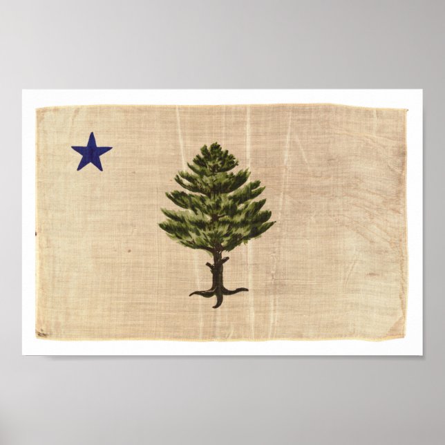 Vintage 1901 Maine Flag Print (Small) (Front)