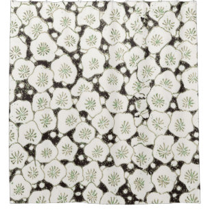 Vintage 1902 Japanese Floral: Black White Blossom