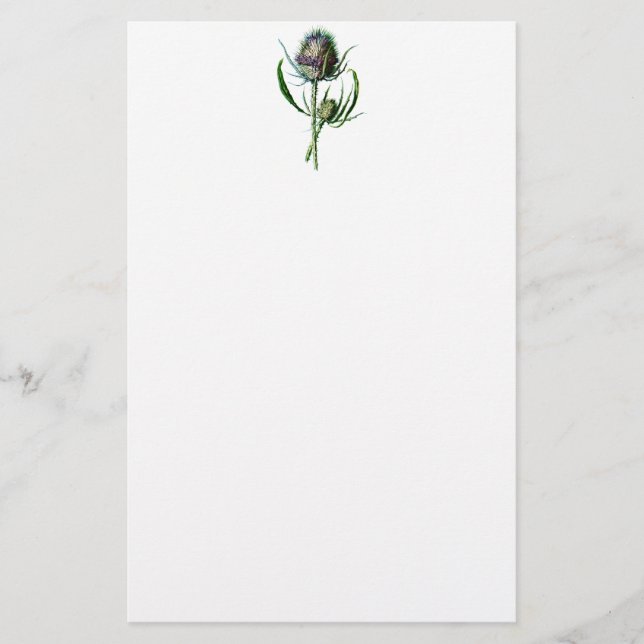Vintage 1902 Scottish Thistle Antique Wild Flower Stationery (Front)