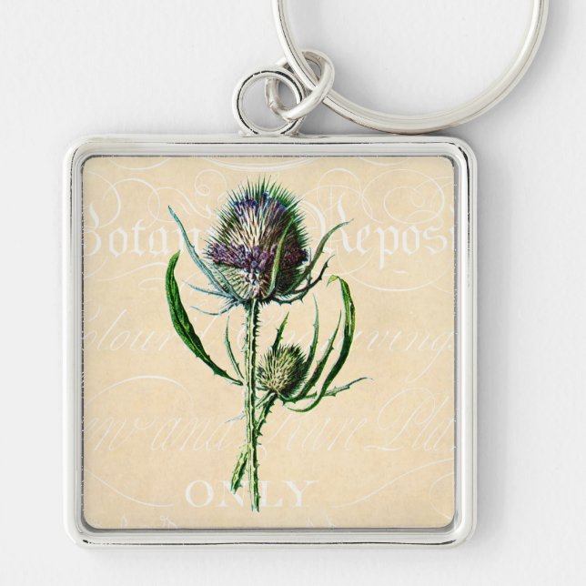Vintage 1902 Scottish Thistle Antique Wildflower Keychain (Front)