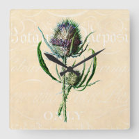Vintage 1902 Scottish Thistle Antique Wildflower