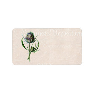 Vintage 1902 Scottish Thistle Old Wild Flower Label