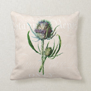 Vintage 1902 Scottish Thistle Old Wild Flower Throw Pillow