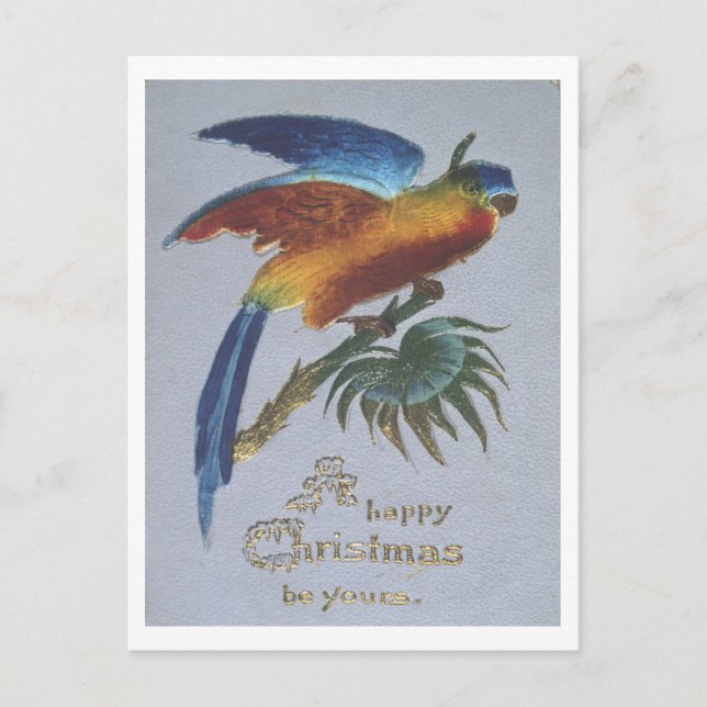 Vintage 1905 Christmas Greetings with Parrot Postcard (Front)