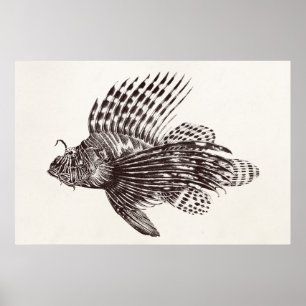 Vintage 1905 Lionfish Scorpionfish Retro Lion Fish Poster