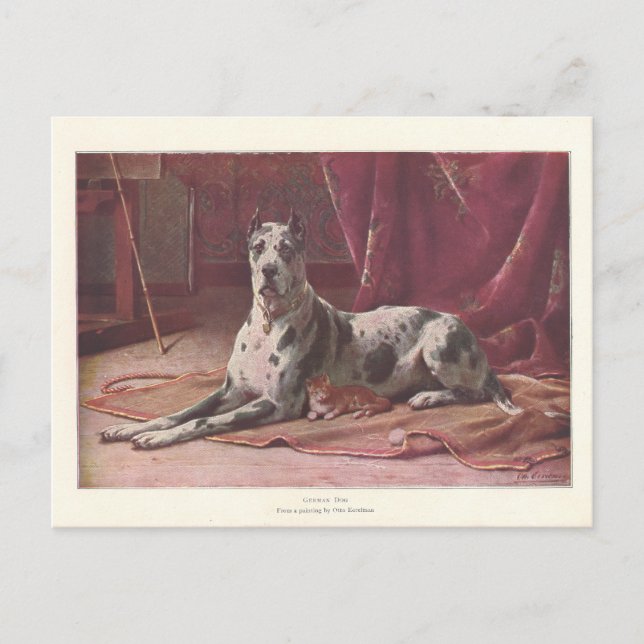 Vintage 1907 Illustration of Dog with Cat Postcard (Front)