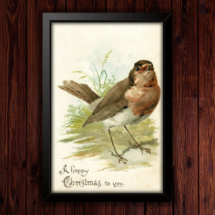 Vintage 1908 Robin Bird Christmas Greeting Poster