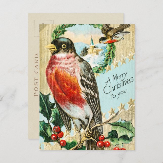 Vintage 1908 Robin Bird Merry Christmas Holiday Postcard (Front/Back)