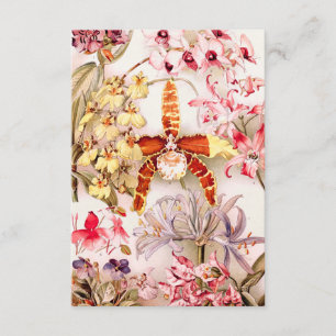 Vintage 1911 Orchid Pink Flower Old Illustration Card