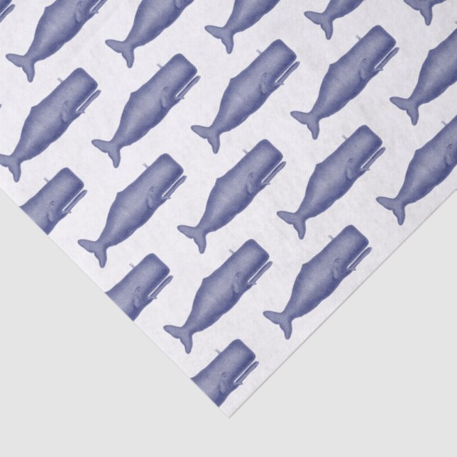 Vintage 19th Century Whale Drawing N Tissue Paper (Detail)