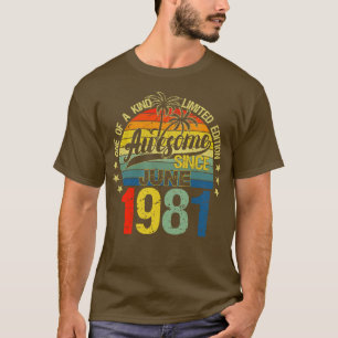 Vintage 41 Years Old June 1981 Decorations 41st Bi T-Shirt