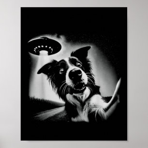 Vintage 90s Border Collie Alien UFO Border Collie Poster