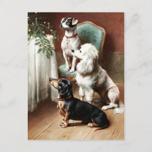 Vintage - A Christmas Treat Holiday Postcard