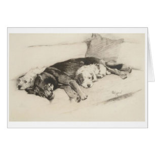 Vintage - A Cozy Trio of Dogs,