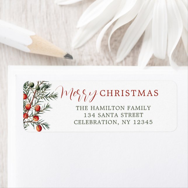 Vintage À feuillage persistant Red Berries (En situation)