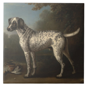 Vintage A Grey Spotted Hound John Wootton Tile