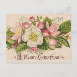 Vintage A Merry Christmas Apple Blossoms Postcard