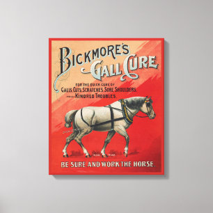 Vintage Ad For Bickmore's Gall Cure For Horses. Canvas Print