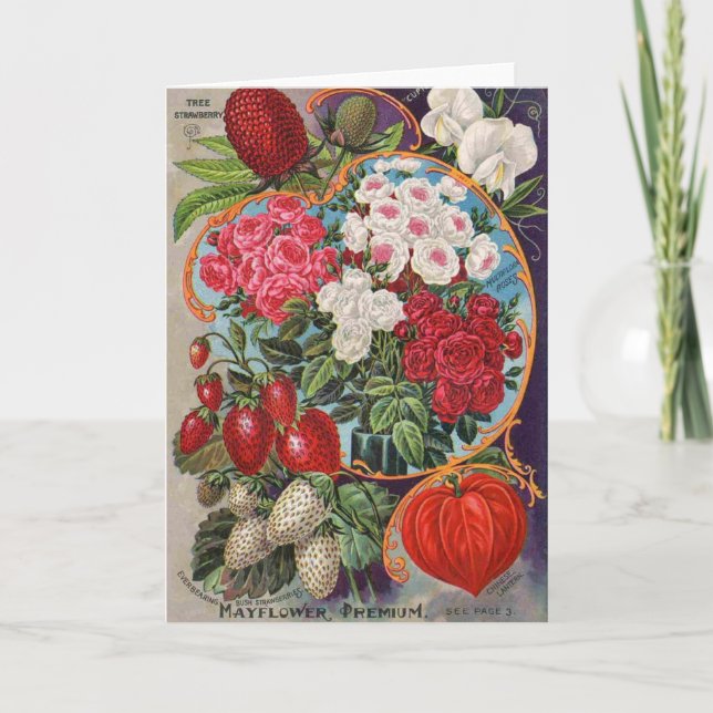 Vintage Ad for Seed Packets, Card (Front)