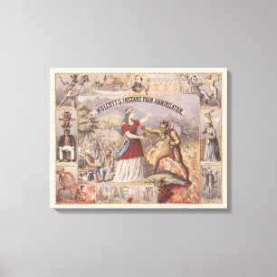 Vintage Ad For Wolcott's Instant Pain Annihilator Canvas Print