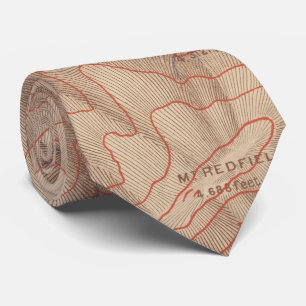 Vintage Adirondack Mountains Topography Map (1873) Tie