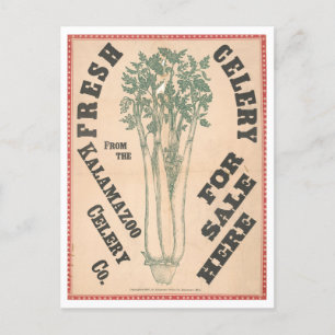 Vintage Advertisement for Kalamazoo Celery Company Postcard