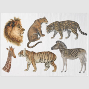 Vintage Africa Wild Animals Lion Leopard Decoupage Tissue Paper