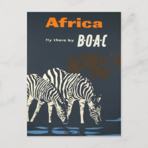 Vintage Africa Zebra Wildlife Travel Postcard