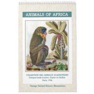 Vintage African Animals Illustrations 2025 Calendar