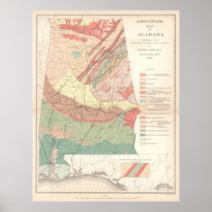 Vintage Agricultural Map of Alabama (1882) Poster