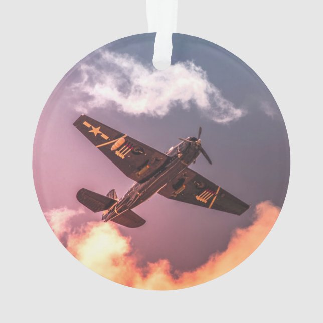 Vintage Airplane Beautiful Sky Ornament (Back)