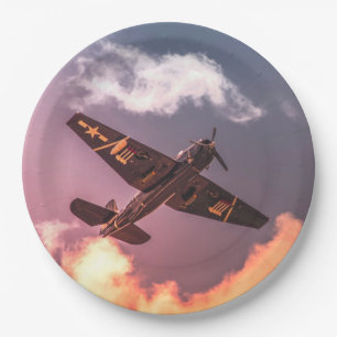 Vintage Airplane Beautiful Sky Paper Plate